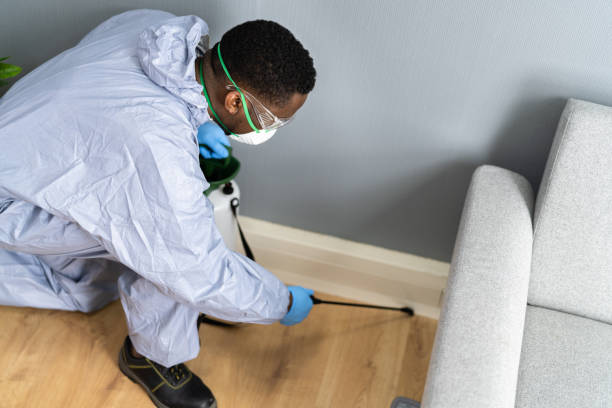 Best Real Estate Pest Inspections  in Sylvan Lake, MI